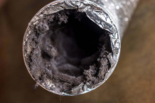 Best HVAC Air Duct Cleaning  in Clarion, IA